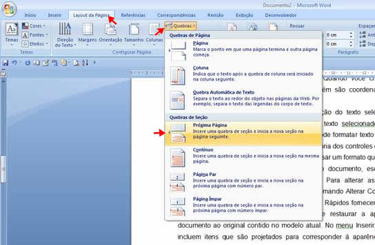 Quebra de Seção Próxima Página
