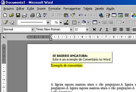 Comentário