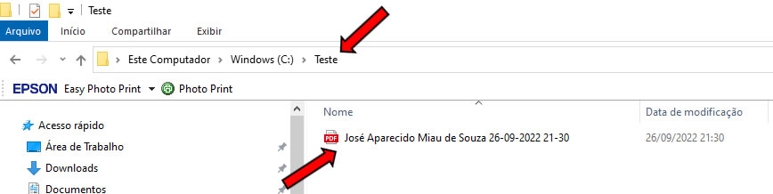 Documento Salvo em PDF