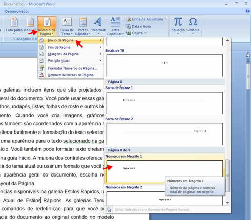 Numeração De Pagina No Microsoft Word 2010 – Rollback7